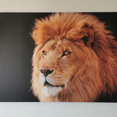 Apartamento Lion