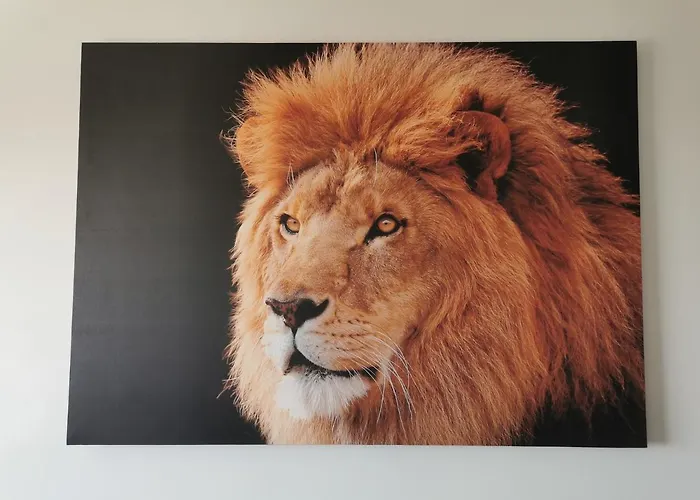 Apartment Lion