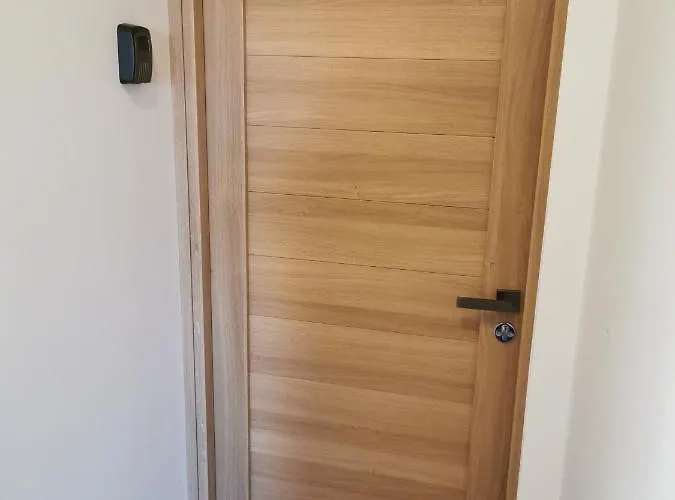 Lion Apartment Tartu