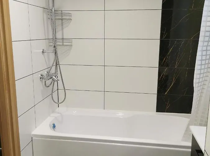 Lion Apartment Tartu